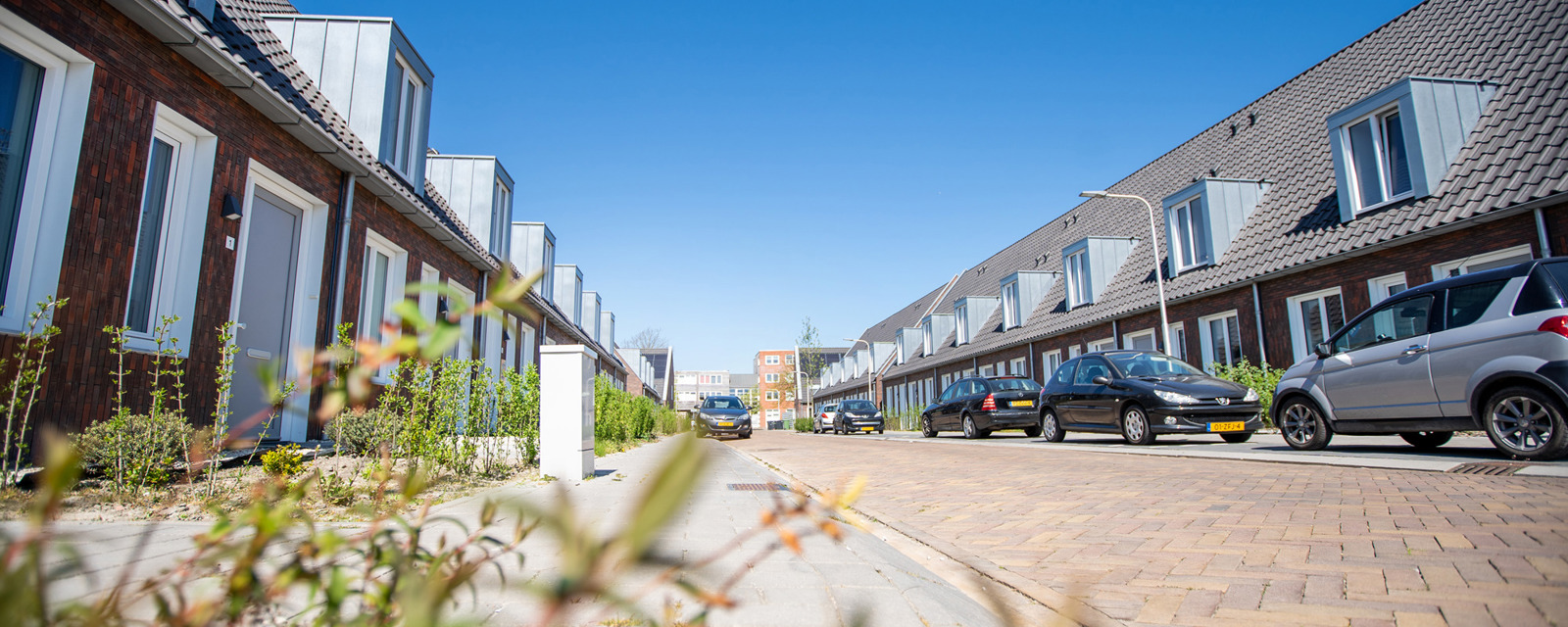BGDD Oost Indischebuurt Lr By IMAZZO 02